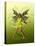 Green Butterfly Fae-Atelier Sommerland-Stretched Canvas