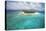 Green Cay in British Virgin Islands-Macduff Everton-Premier Image Canvas