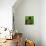 Green Cityscape-Paul Brent-Stretched Canvas displayed on a wall