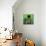 Green Cityscape-Paul Brent-Stretched Canvas displayed on a wall