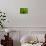 Green Design-PhotoINC-Premier Image Canvas displayed on a wall