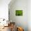 Green Design-PhotoINC-Premier Image Canvas displayed on a wall