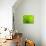 Green Design-PhotoINC-Premier Image Canvas displayed on a wall