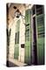 Green Doors in Usa-Jillian Melnyk-Premier Image Canvas
