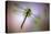 Green Dragonfly-Jimmy Hoffman-Stretched Canvas