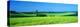 Green Field Japan-null-Stretched Canvas