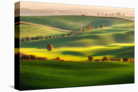 Green fields-Piotr Krol (Bax)-Premier Image Canvas