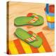 Green Flip Flops-Paul Brent-Stretched Canvas