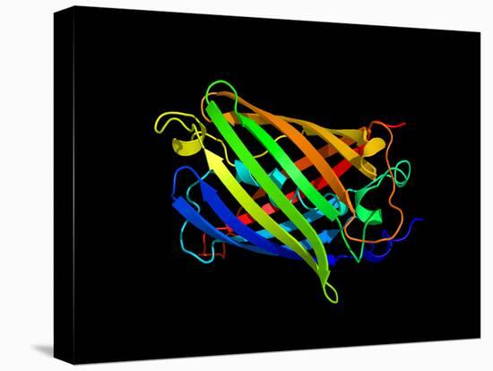 Green Fluorescent Protein, Computer Model-Dr. Tim Evans-Premier Image Canvas