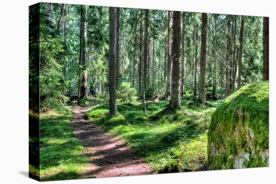 Green Forest Landscape in the Summer-Anna-Mari West-Premier Image Canvas