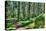 Green Forest Landscape in the Summer-Anna-Mari West-Premier Image Canvas