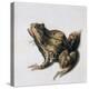 Green Frog, 16th Century-Joris Hoefnagel-Premier Image Canvas