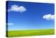 Green Grass and Blue Sky-Marina Pissarova-Premier Image Canvas