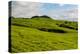 Green grass pasture land near Waimea, Big Island, Hawaii-Mark A Johnson-Premier Image Canvas