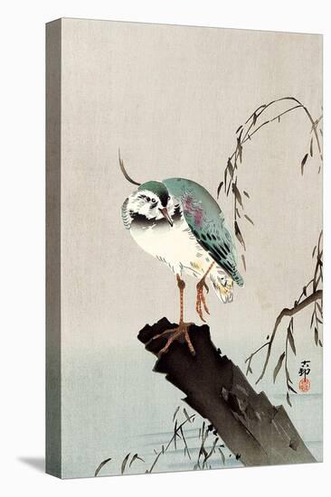 Green Heron-Koson Ohara-Premier Image Canvas