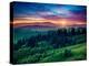 Green Hills Glowing by Warm Sunlight at Twilight. Dramatic Scene. Colorful Sky, Red Clouds. Carpath-Leonid Tit-Premier Image Canvas