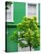 Green House in Notting Hill - London - UK - England - United Kingdom - Europe-Philippe Hugonnard-Premier Image Canvas