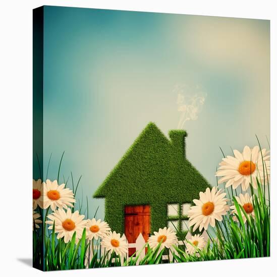 Green House-dtolokonov-Stretched Canvas