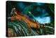 Green Iguana, Iguana Iguana, Portrait of Orange Big Lizard in the Dark Green Forest, Animal in the-Ondrej Prosicky-Premier Image Canvas