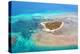 Green Island Great Barrier Reef, Cairns Australia Seen from Above-dzain-Premier Image Canvas