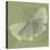 Green Leaf Square 6-Albert Koetsier-Stretched Canvas