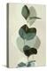 Green Leaves 8-Ian Winstanley-Stretched Canvas