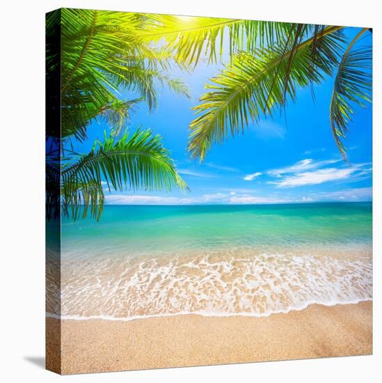 Green Leaves of Palm Tree and Tropical Beach-Aleksandr Ozerov-Premier Image Canvas