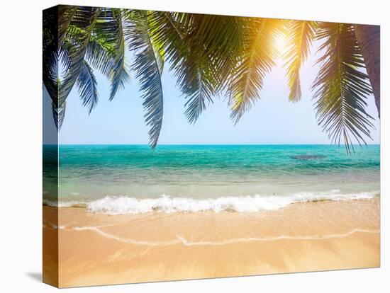 Green Leaves of Palm Tree and Tropical Beach-Aleksandr Ozerov-Premier Image Canvas