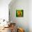 Green Light-Philippe Sainte-Laudy-Premier Image Canvas displayed on a wall