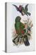 Green Lory-John Gould-Premier Image Canvas