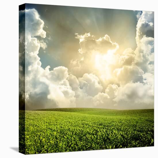 Green Meadow under Blue Sky with Clouds-Volokhatiuk-Premier Image Canvas