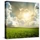 Green Meadow under Blue Sky with Clouds-Volokhatiuk-Premier Image Canvas