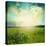 Green Meadow Under Blue Sky With Clouds-Volokhatiuk-Stretched Canvas