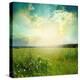 Green Meadow Under Blue Sky With Clouds-Volokhatiuk-Stretched Canvas