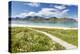 Green meadows and flowers surrounded by turquoise sea and fine sand, Ramberg, Lofoten Islands, Norw-Roberto Moiola-Premier Image Canvas