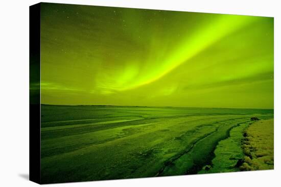 Green Northern Lights over the Sea, Beaufort Sea, ANWR, Alaska, USA-Steve Kazlowski-Premier Image Canvas