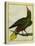 Green Oropendola-Georges-Louis Buffon-Premier Image Canvas