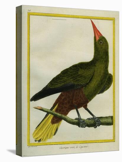 Green Oropendola-Georges-Louis Buffon-Premier Image Canvas