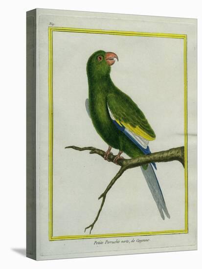 Green Parakeet-Georges-Louis Buffon-Premier Image Canvas