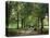 Green Park, London, England, United Kingdom-Ethel Davies-Premier Image Canvas