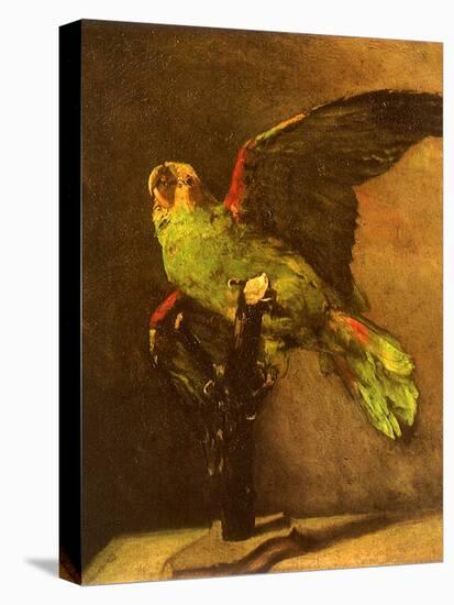 Green Parrot on Perch, 1886-Vincent van Gogh-Premier Image Canvas