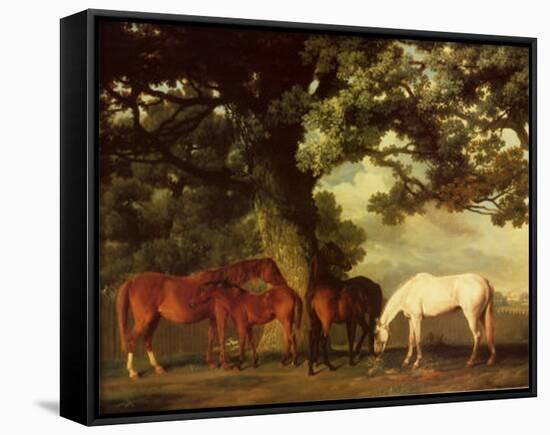 Green Pastures-George Stubbs-Stretched Canvas