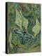 Green Peacock Moth (The Emperor Moth), 1889 (Oil on Canvas)-Vincent van Gogh-Premier Image Canvas