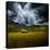 Green Planet-Philippe Sainte-Laudy-Premier Image Canvas