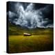 Green Planet-Philippe Sainte-Laudy-Premier Image Canvas