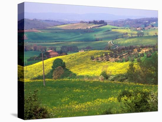 Green Rolling Hills and Spotted Yellow Mustard Flowers, Tuscany, Italy-Janis Miglavs-Premier Image Canvas