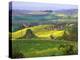 Green Rolling Hills and Spotted Yellow Mustard Flowers, Tuscany, Italy-Janis Miglavs-Premier Image Canvas