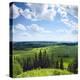 Green Rural Fields and Pine Trees. View from Top of a Hill.-Dudarev Mikhail-Premier Image Canvas