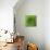 GREEN SHAMROCK CHRYSANTHEMUM-Clive Nichols-Premier Image Canvas displayed on a wall