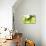 Green Smoke-GI ArtLab-Premier Image Canvas displayed on a wall